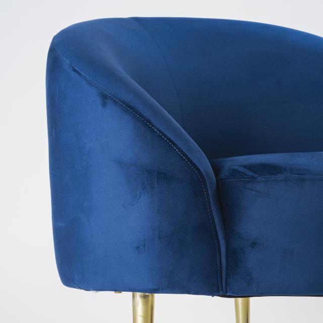 Where to find Ritz Navy Velvet Loveseat in Tulsa