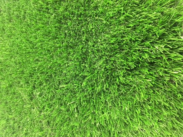 Rental store for ARTIFICIAL GRASS in Tulsa OK
