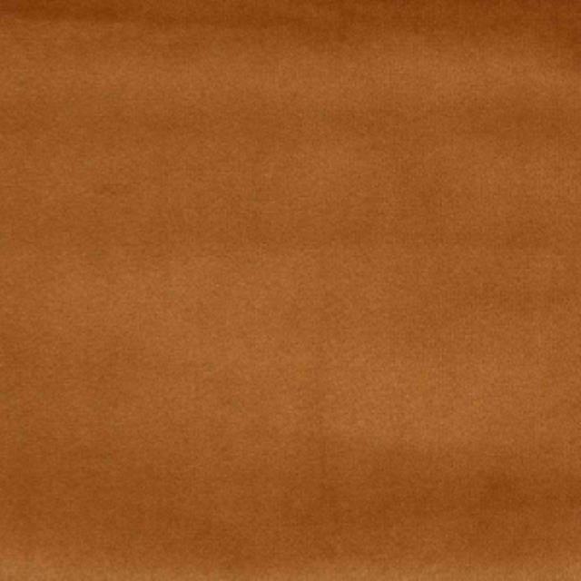 Rental store for TAMARA VELVET in Tulsa OK