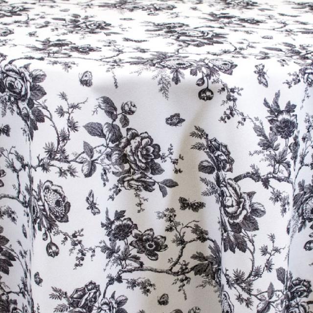 Rental store for BLACK FRENCH TOILE in Tulsa OK