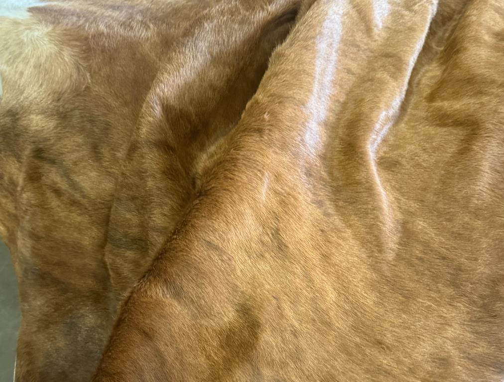 Rental store for Brown Cowhdie Rug in Tulsa OK