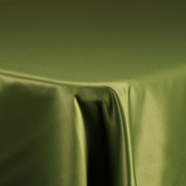 Rental store for DEEP LIME LAMOUR in Tulsa OK