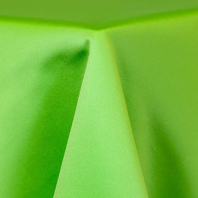 Rental store for LIME GREEN LAMOUR in Tulsa OK